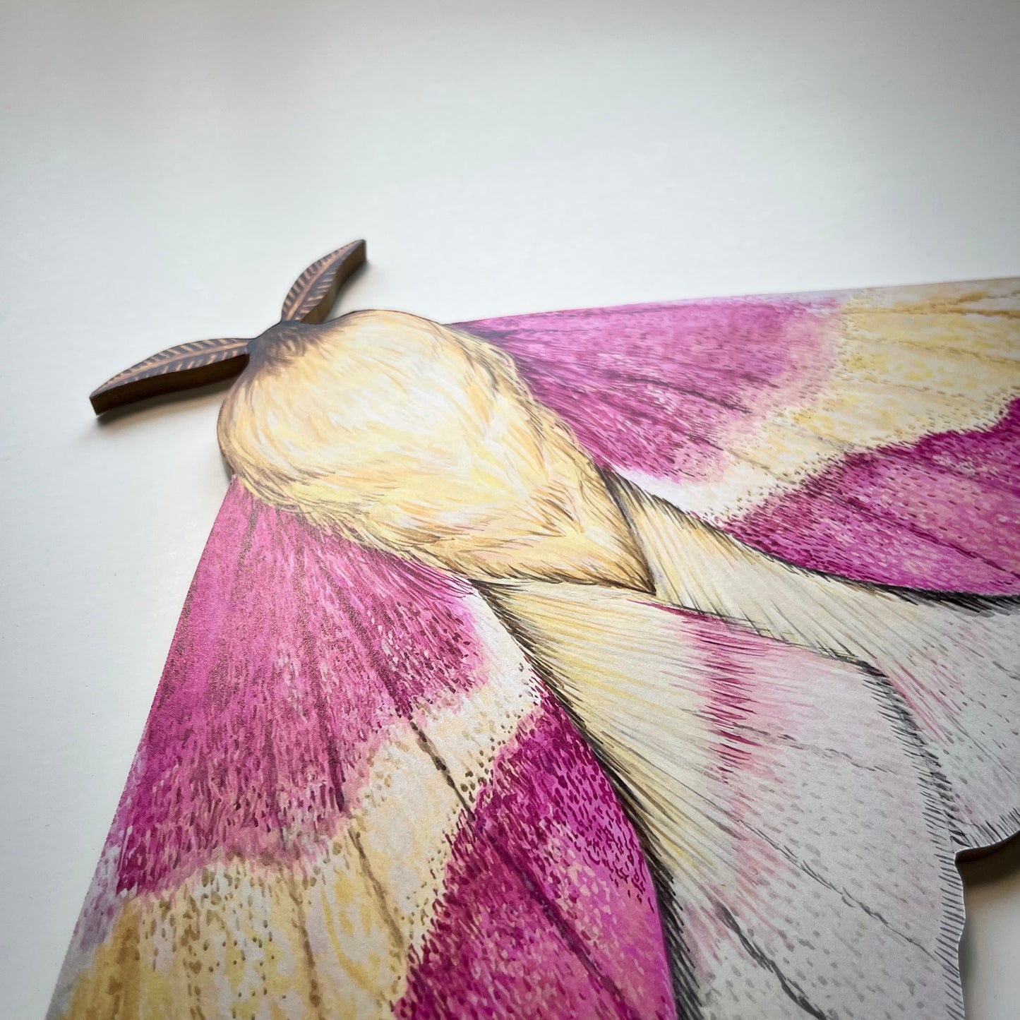 Rosy Maple Moth Wood Cutout Print
