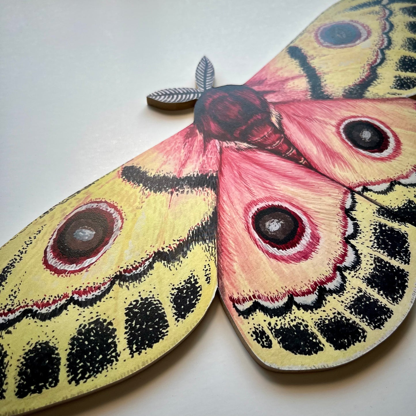 Injured Emperor Moth Wood Cutout Print