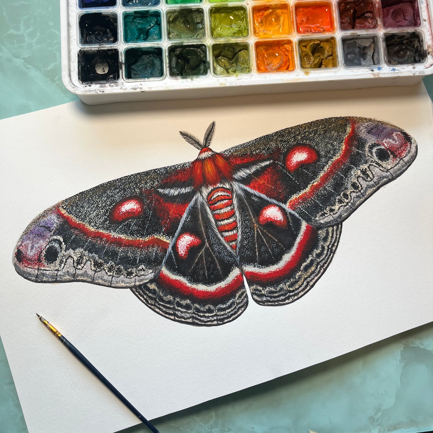Cecropia Moth Wood Cutout Print