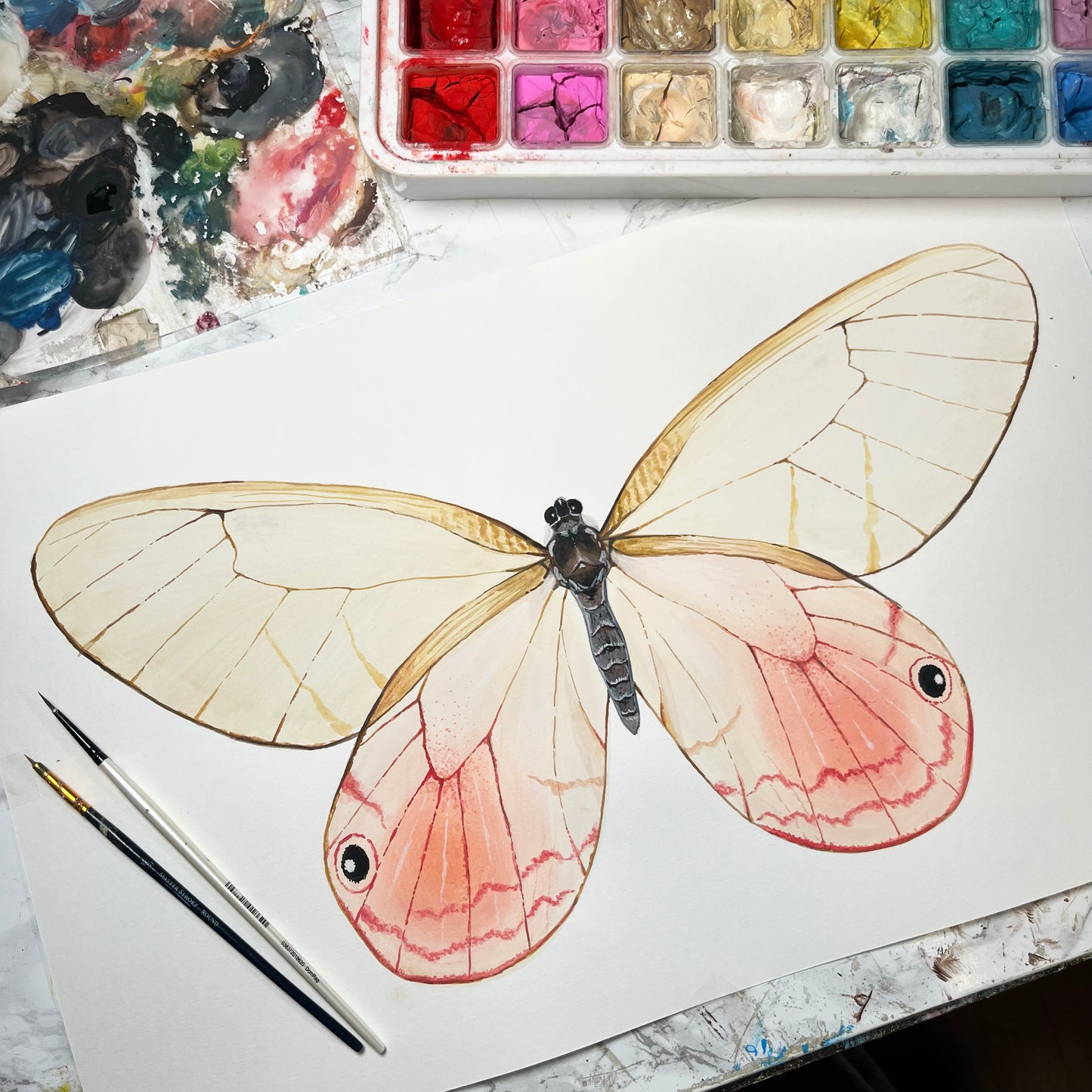 Blushing Phantom Butterfly Wood Cutout Print