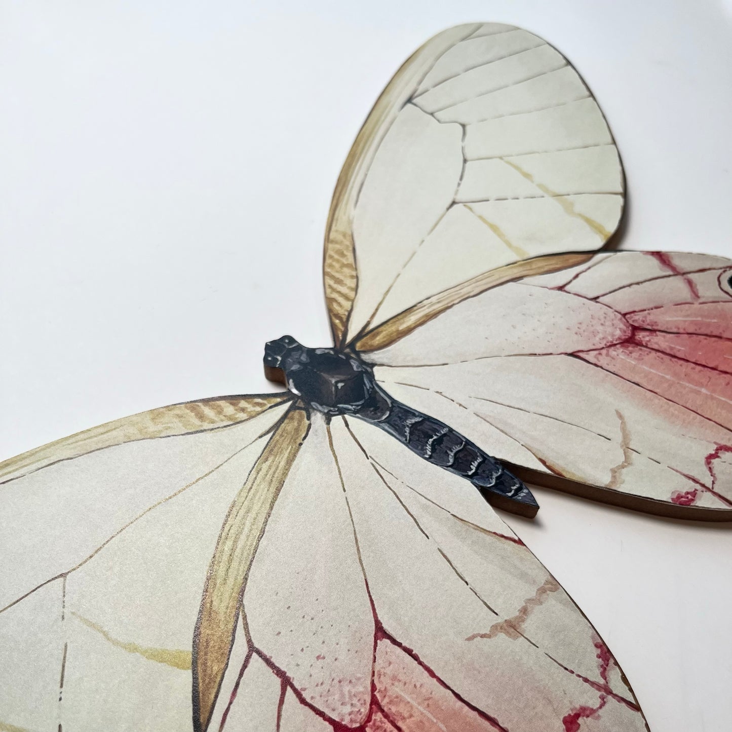Blushing Phantom Butterfly Wood Cutout Print