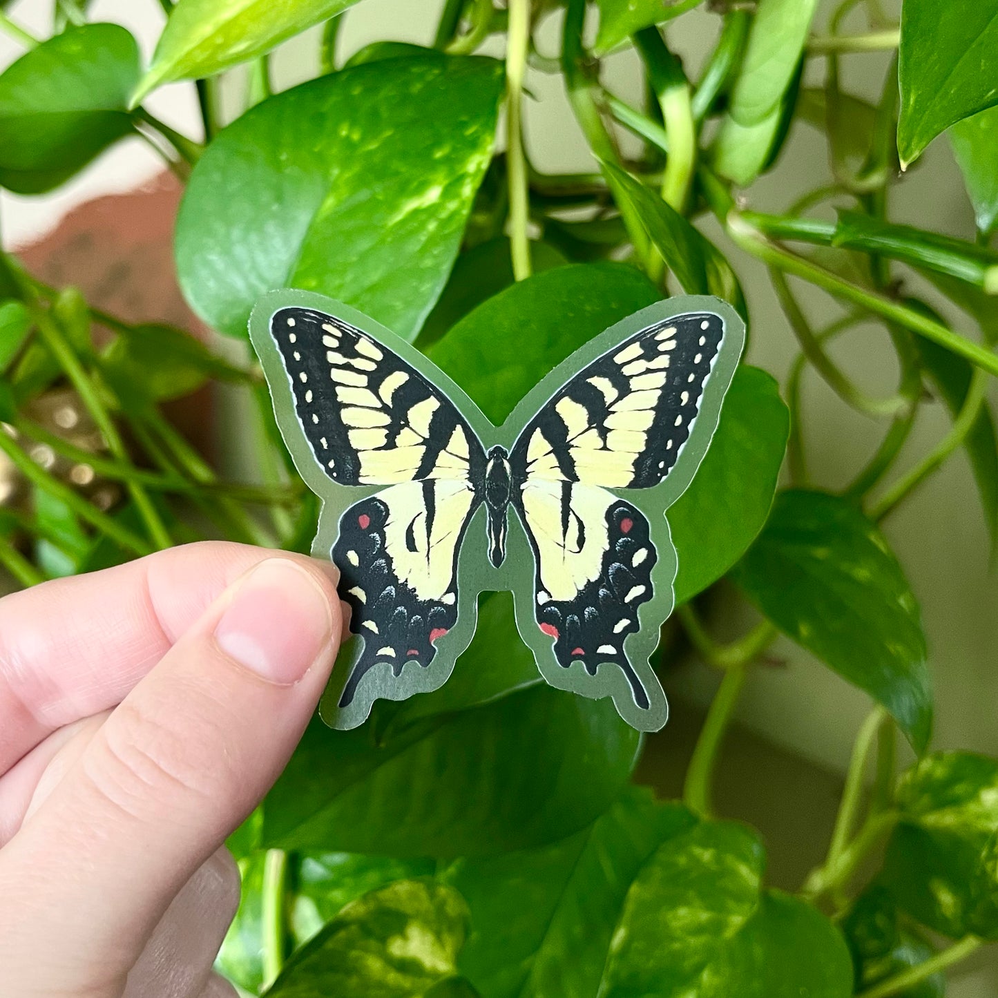 Yellow Swallowtail Sticker with Clear Background