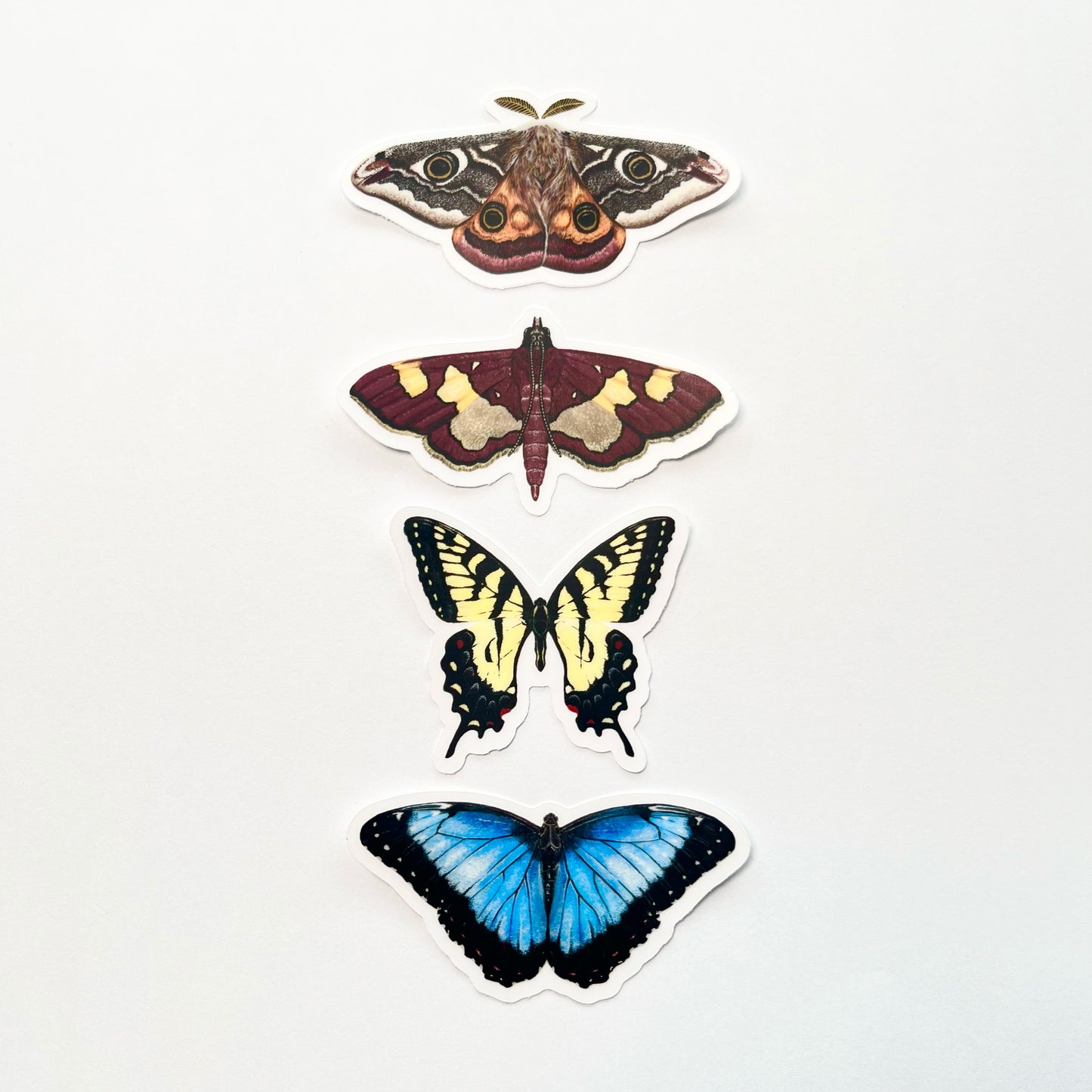 Clear Background Small Butterfly & Moth Sticker Pack