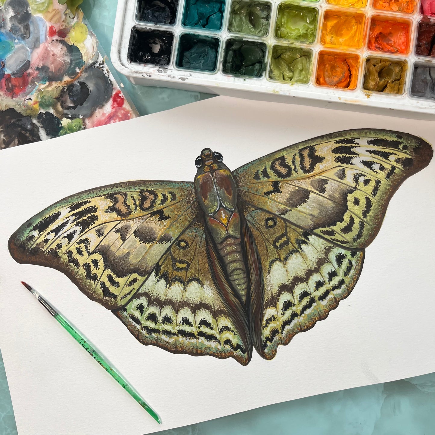 Common Commander Butterfly Wood Cutout Print