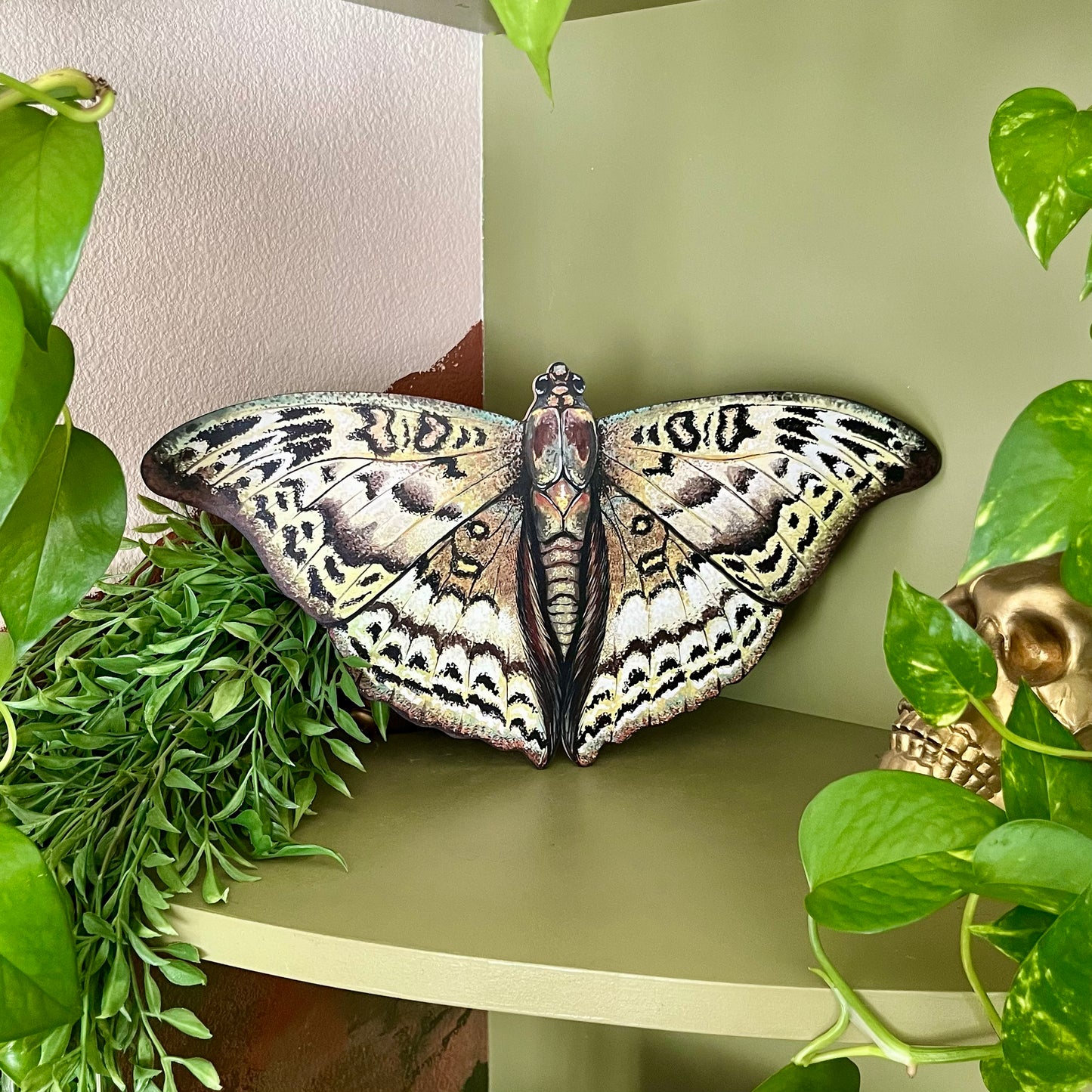 Common Commander Butterfly Wood Cutout Print