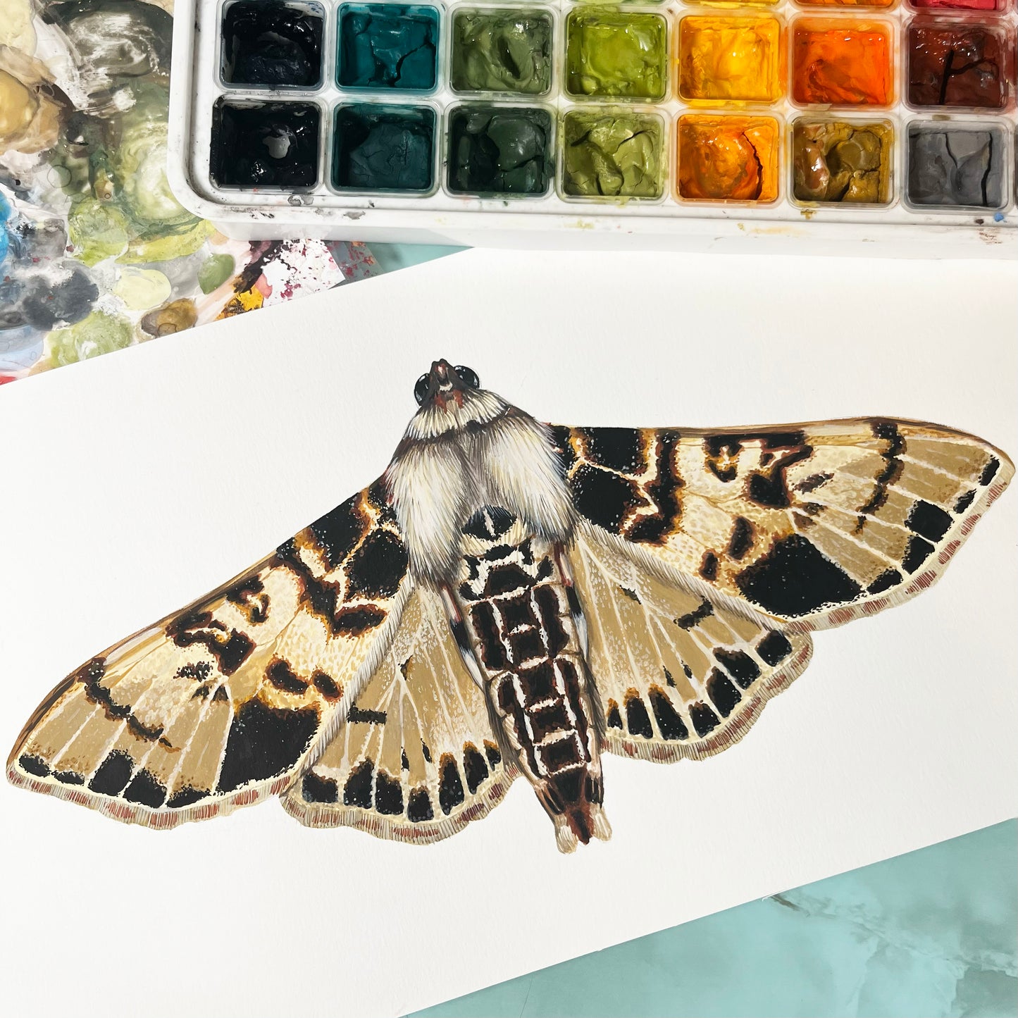 Azochis Moth Wood Cutout Print