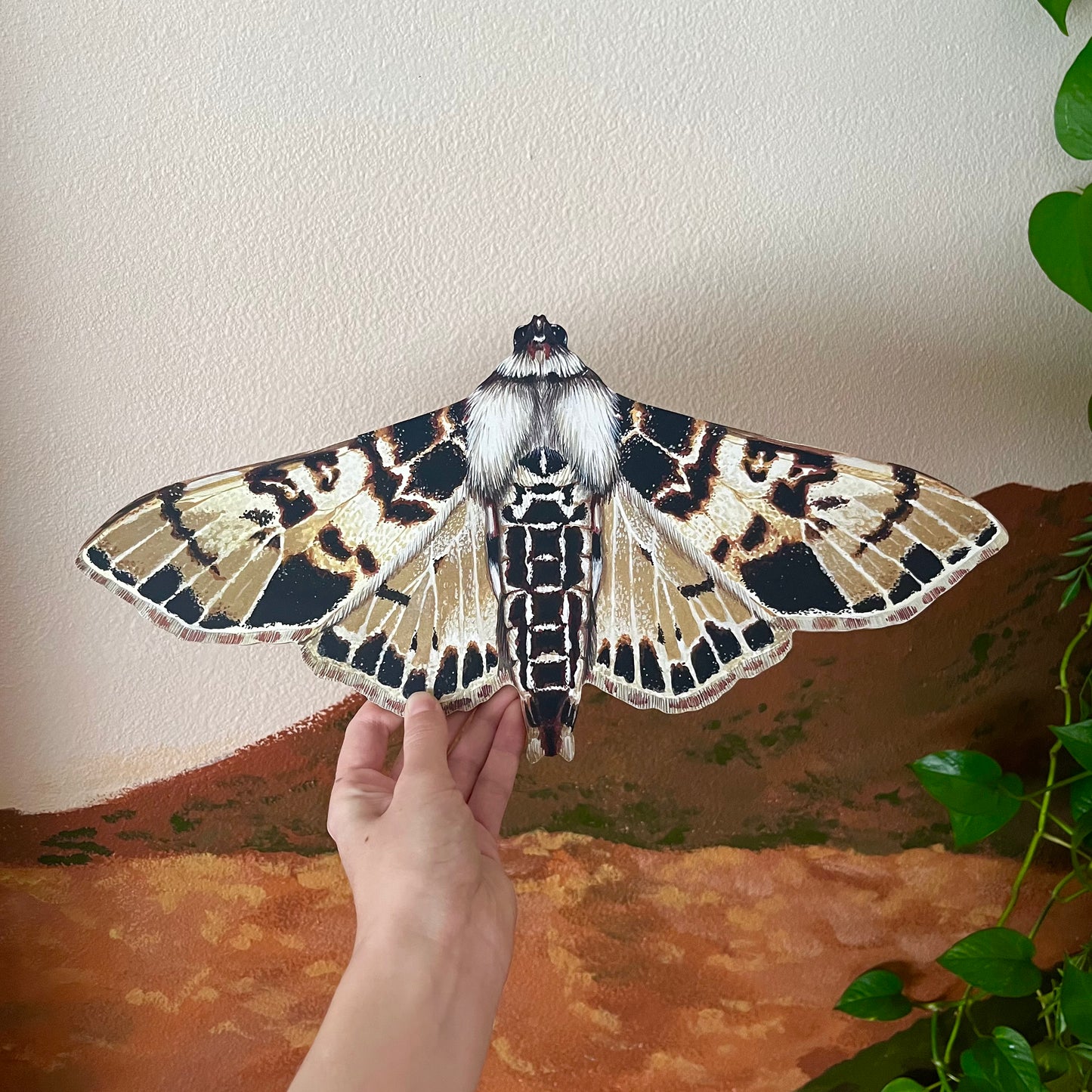 Azochis Moth Wood Cutout Print