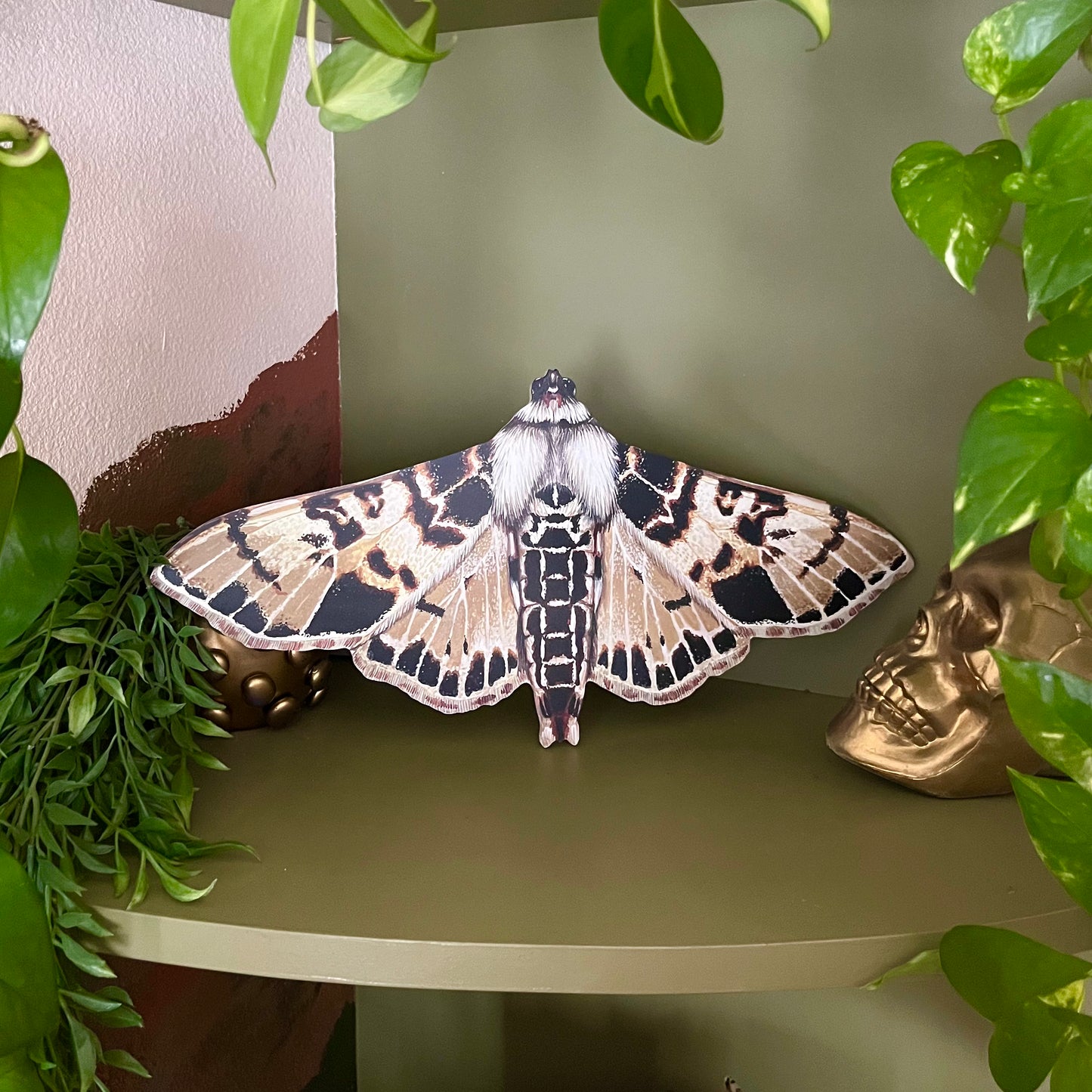 Azochis Moth Wood Cutout Print