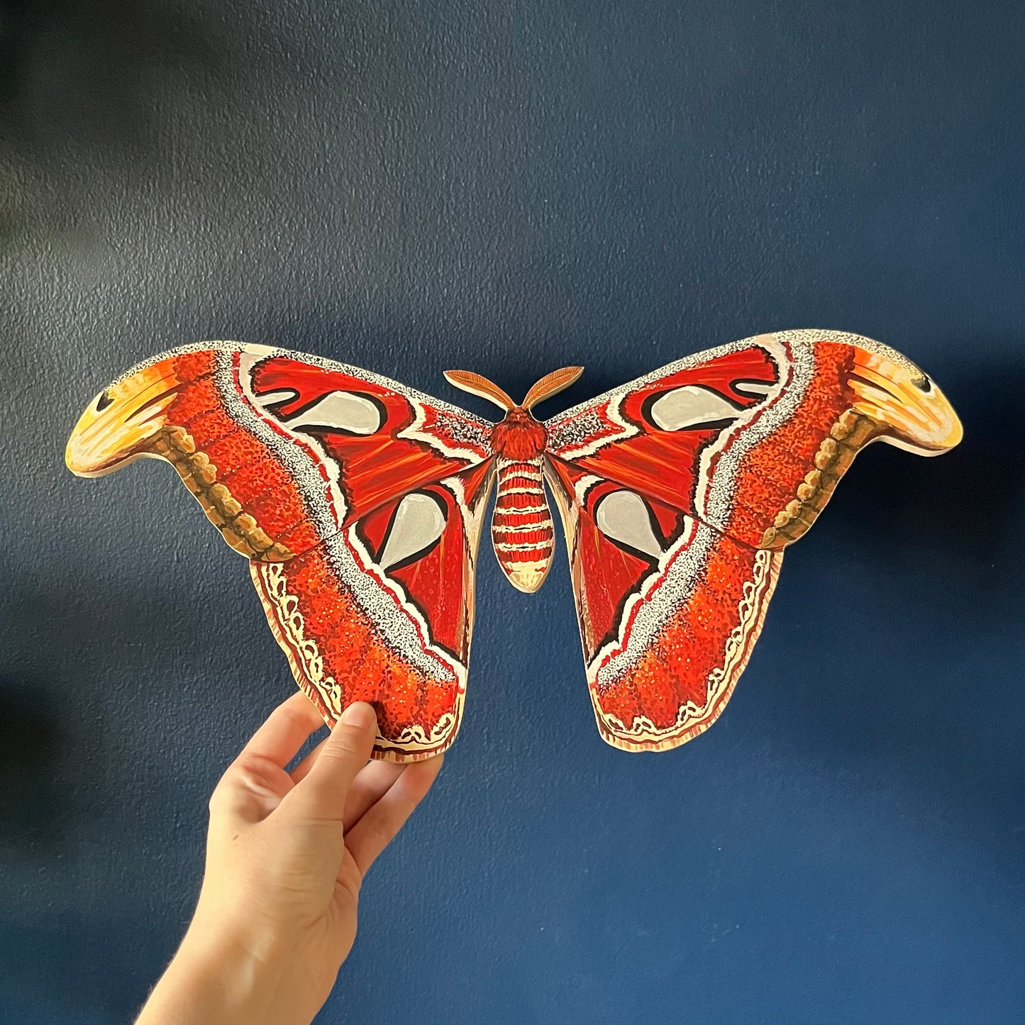 Atlas Moth Wood Cutout Print