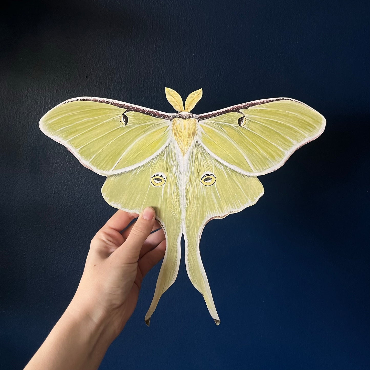 Luna Moth Print Wood Cutout