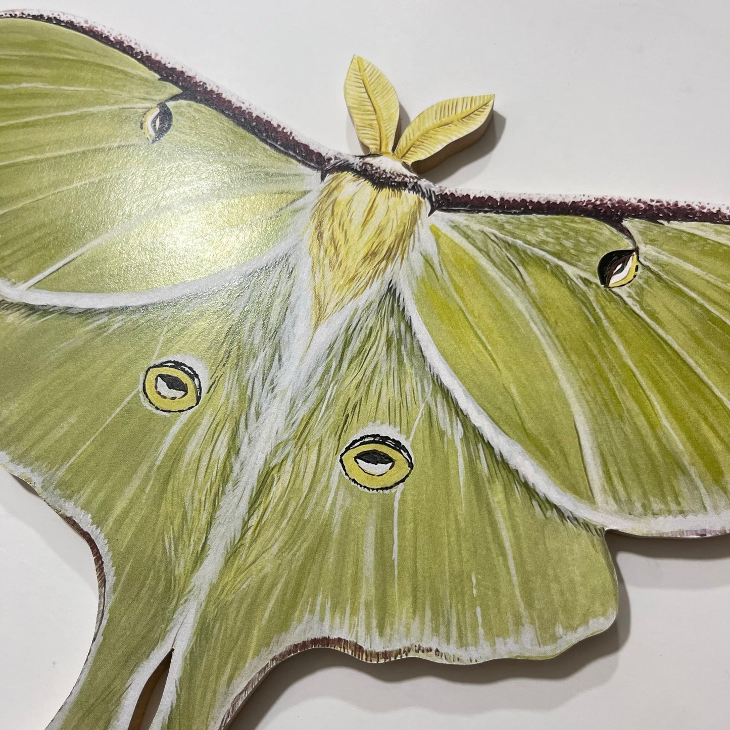 Luna Moth Print Wood Cutout
