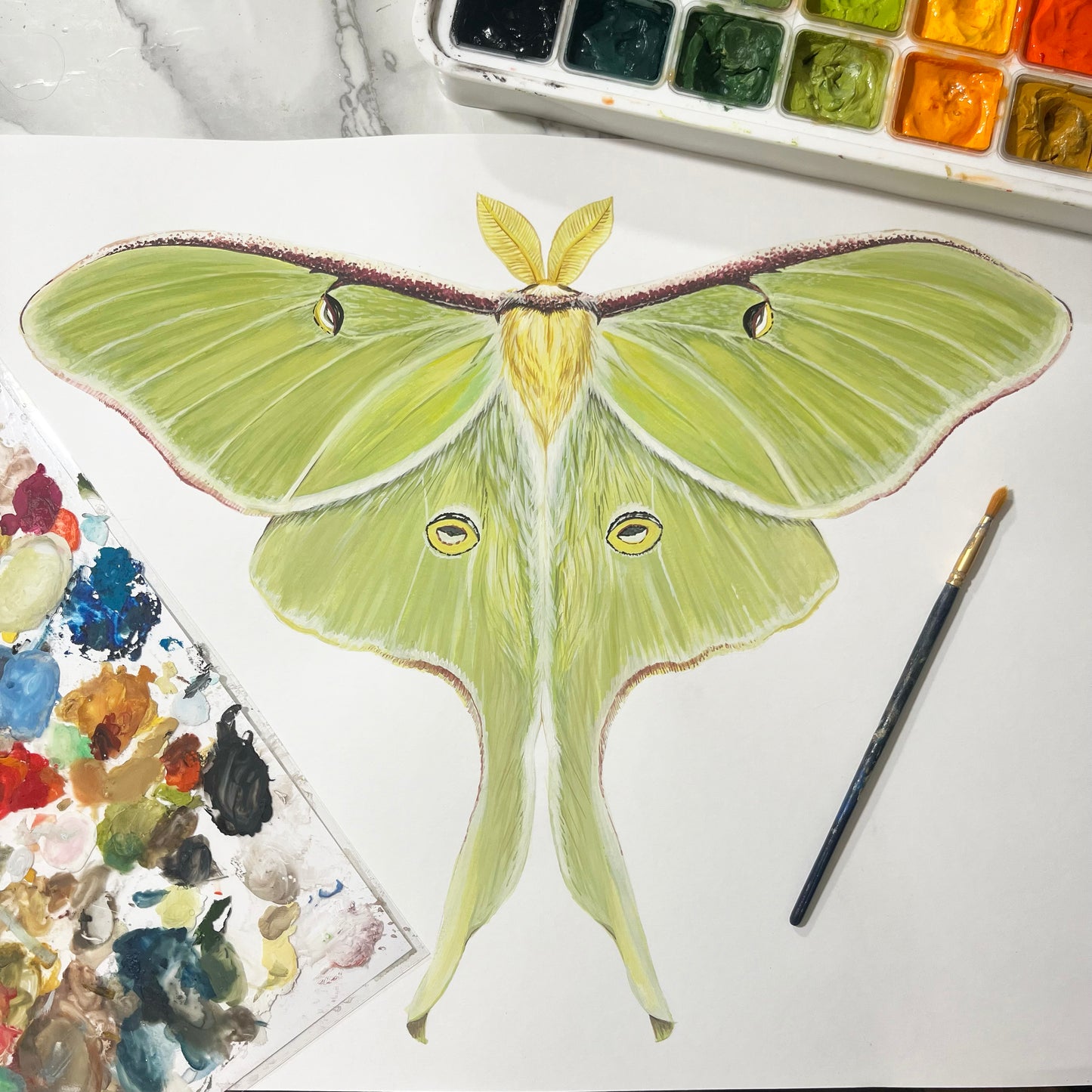 Luna Moth Print Wood Cutout