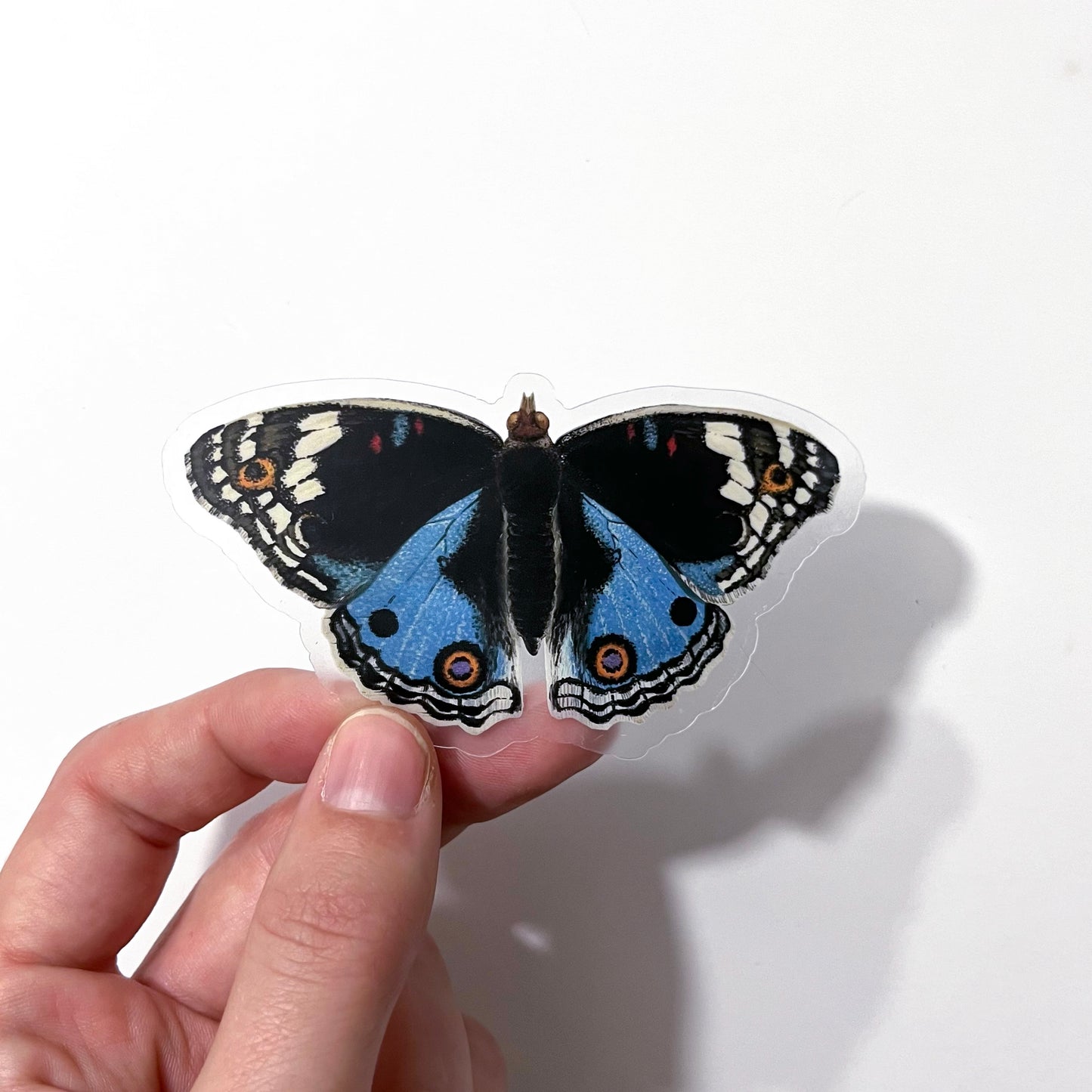 Blue Pansy Sticker with Clear Background
