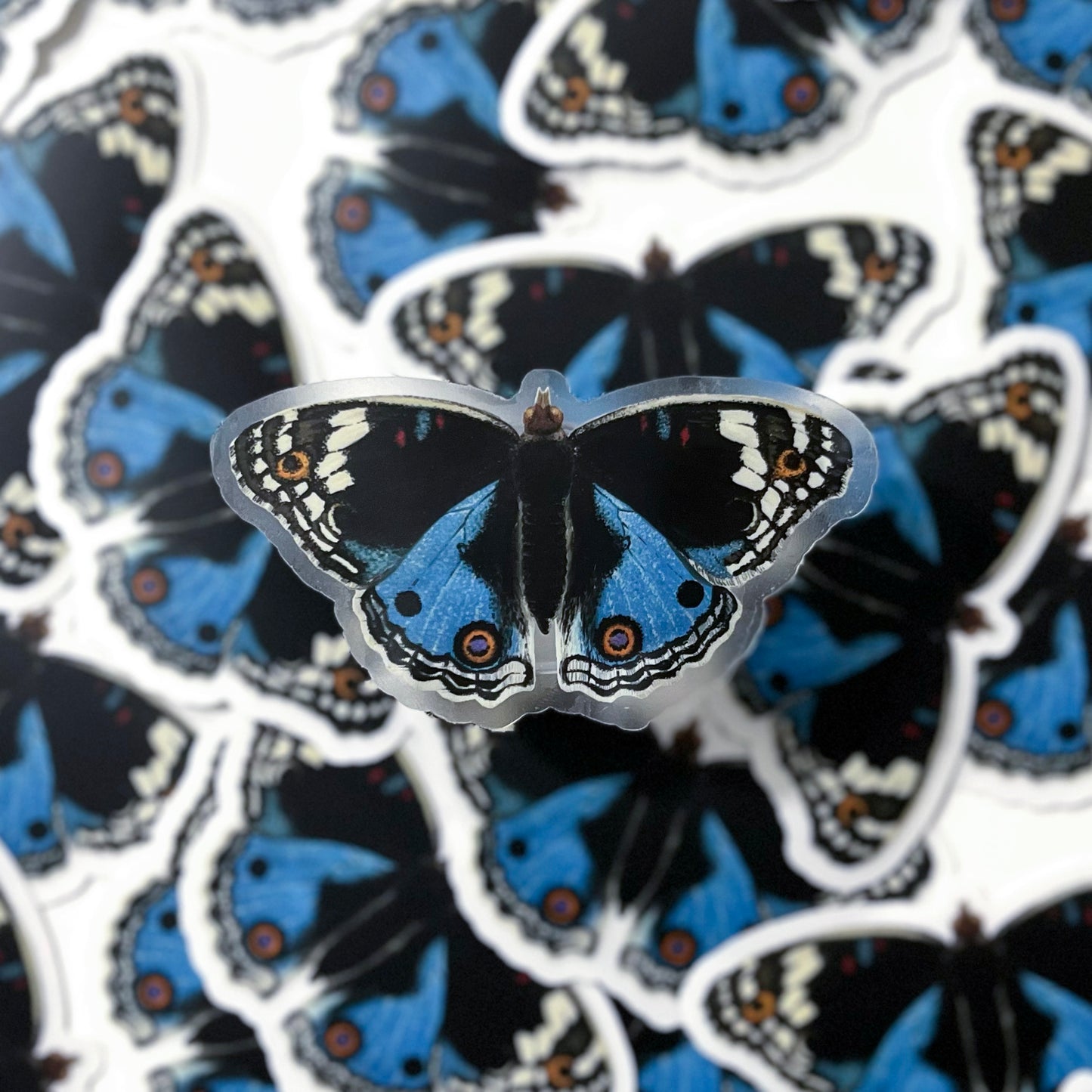 Blue Pansy Sticker with Clear Background