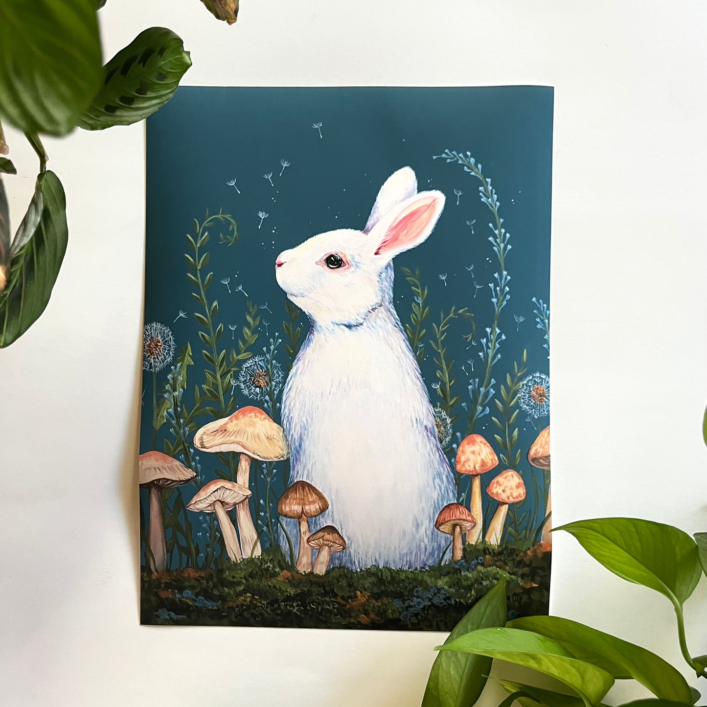 9"x12" White Rabbit Print