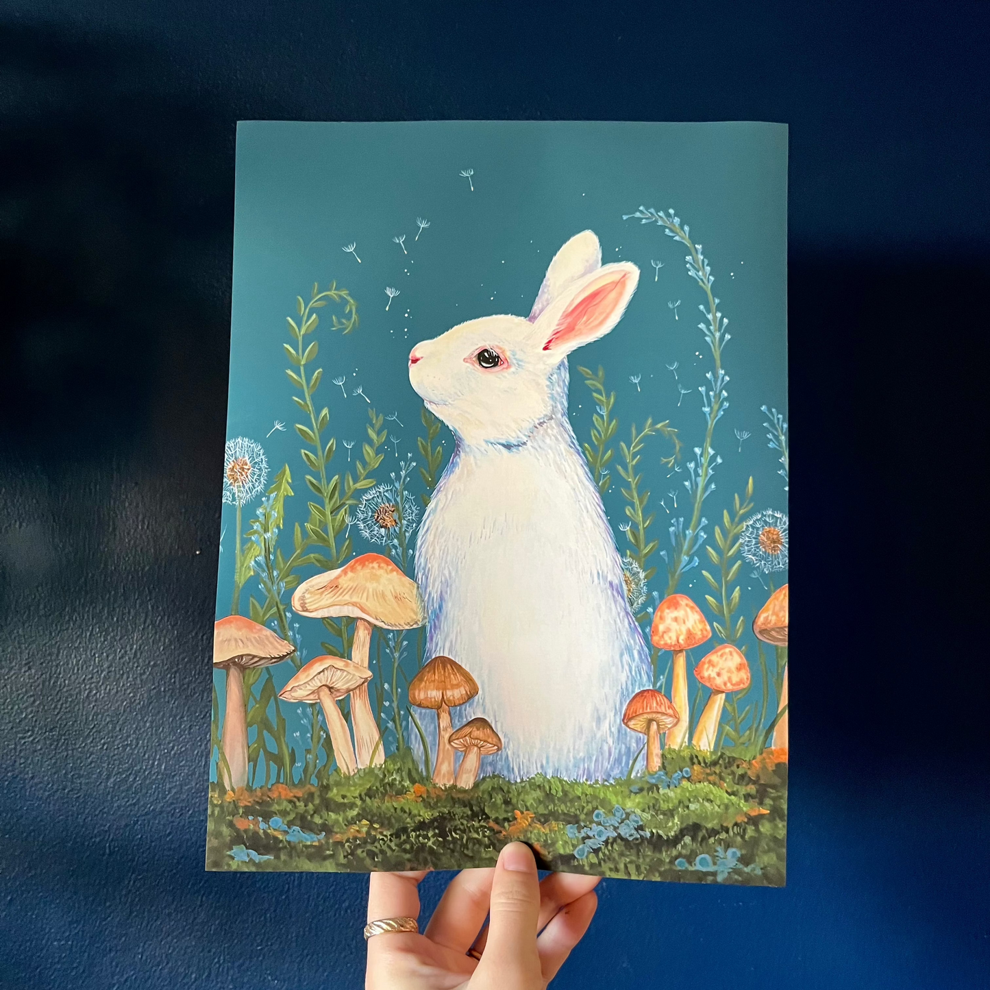 9"x12" White Rabbit Print