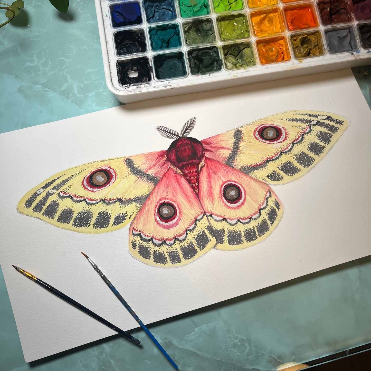 Injured Emperor Moth Wood Cutout Print