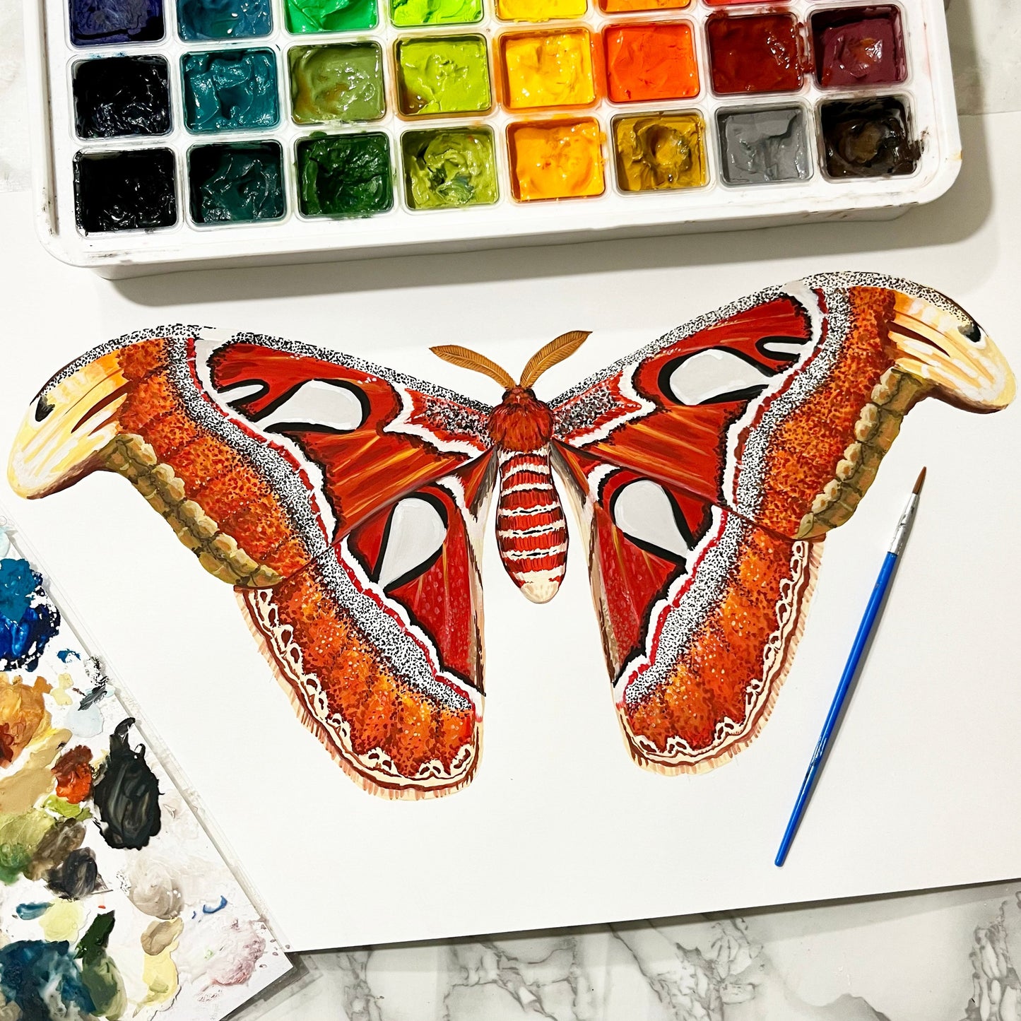 Atlas Moth Wood Cutout Print