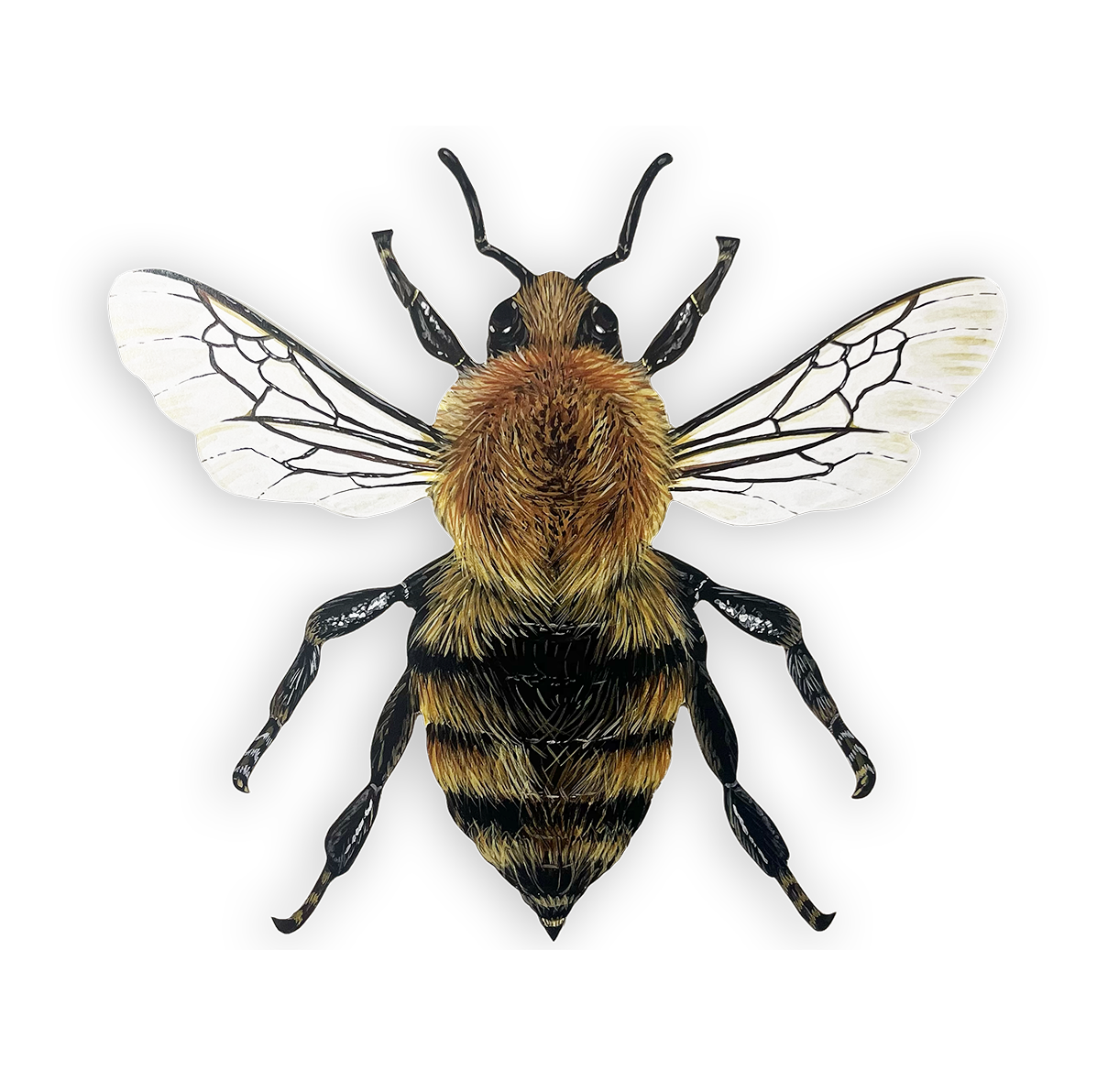 Bee Wood Cutout Print