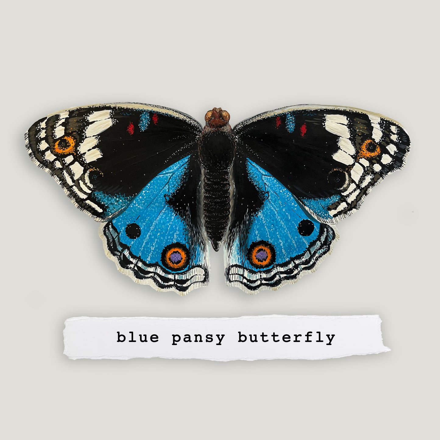 Blue Pansy Butterfly Wood Cutout Print