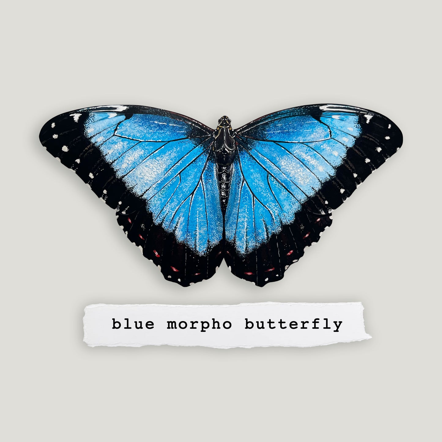 Blue Morpho Butterfly Wood Cutout Print