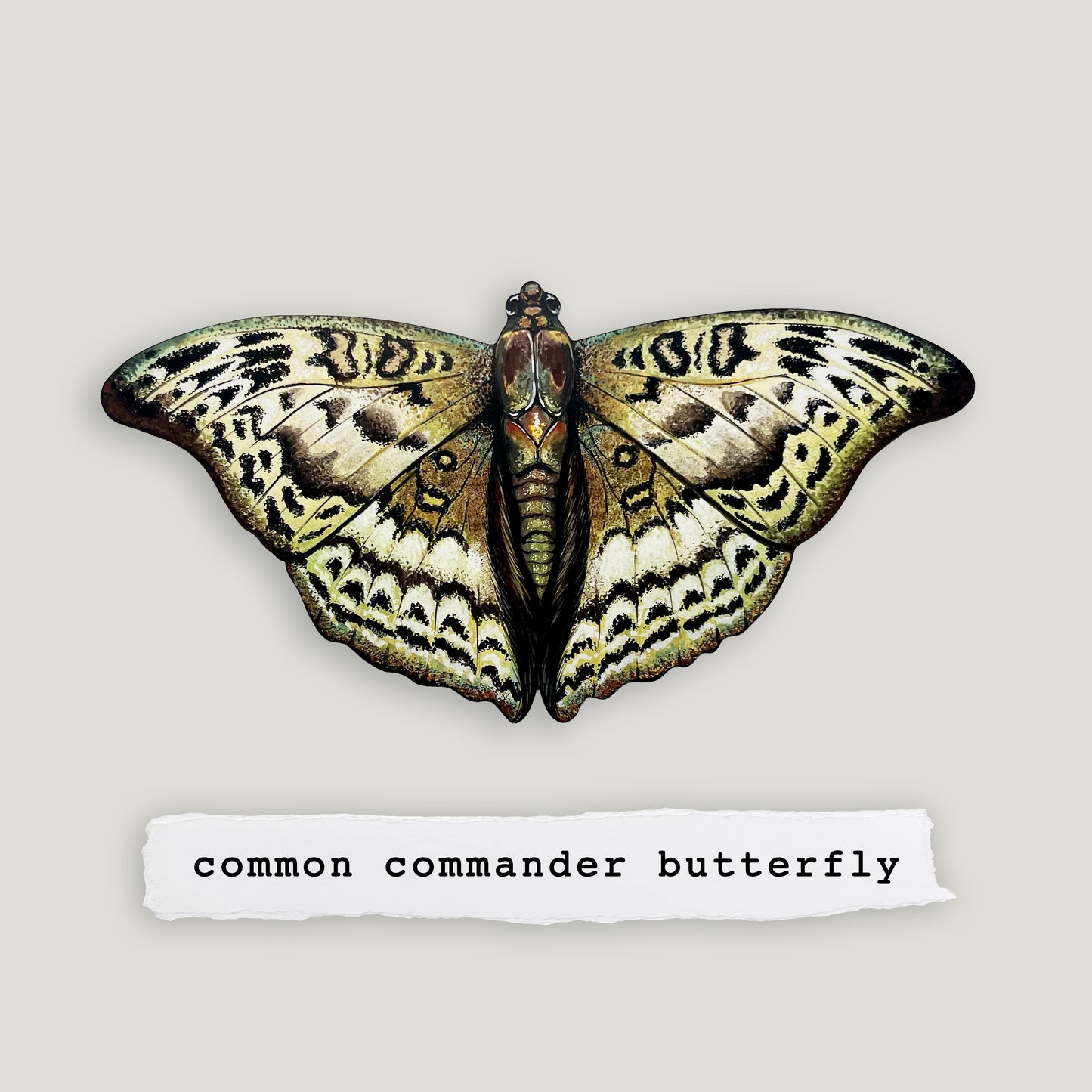 Common Commander Butterfly Wood Cutout Print
