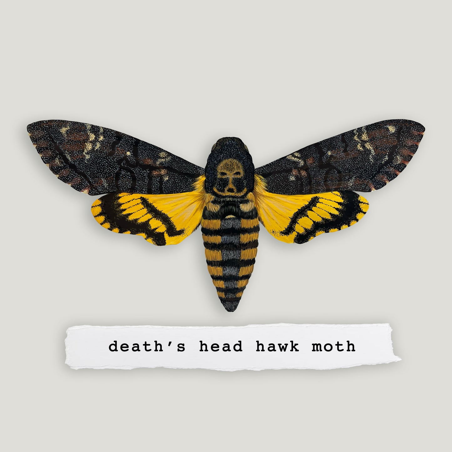 Death's Head Hawk Moth Wood Cutout Print