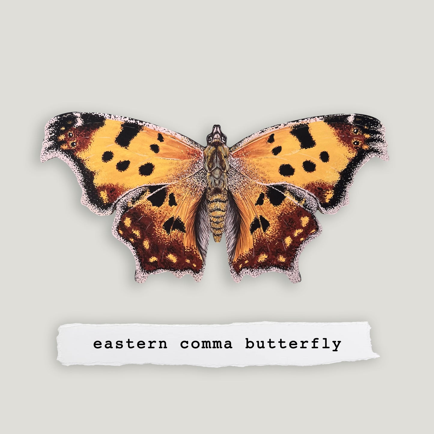Eastern Comma Butterfly Wood Cutout Print