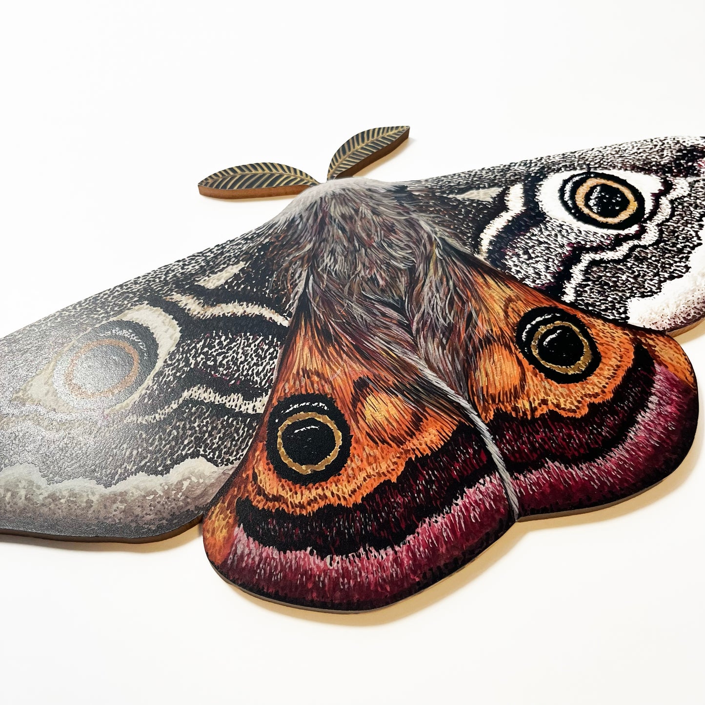Emperor Moth Wood Cutout Print