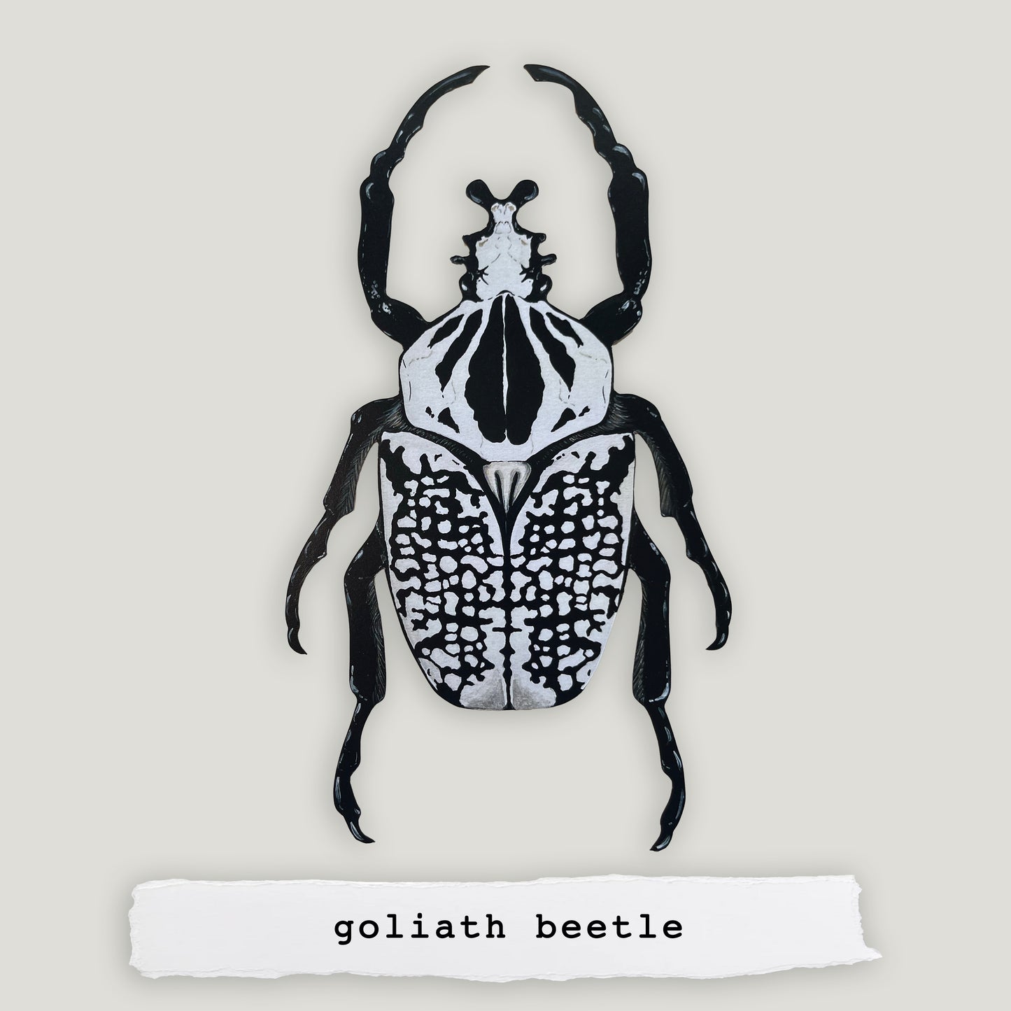 Goliath Beetle Wood Cutout Print