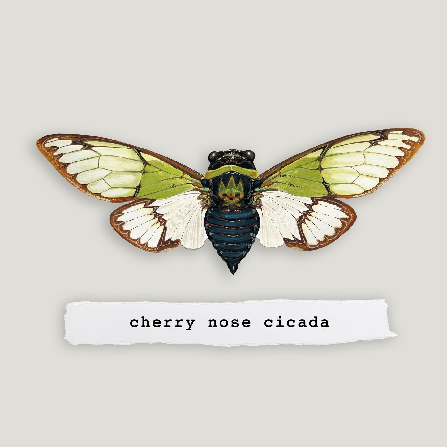 Cherry Nose Cicada Wood Cutout Print