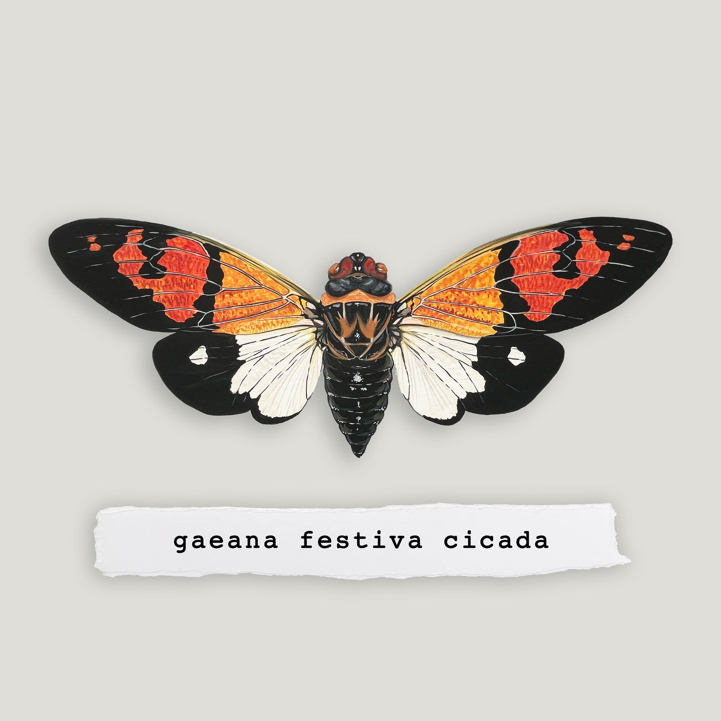 Gaeana Festiva Cicada Wood Cutout Print