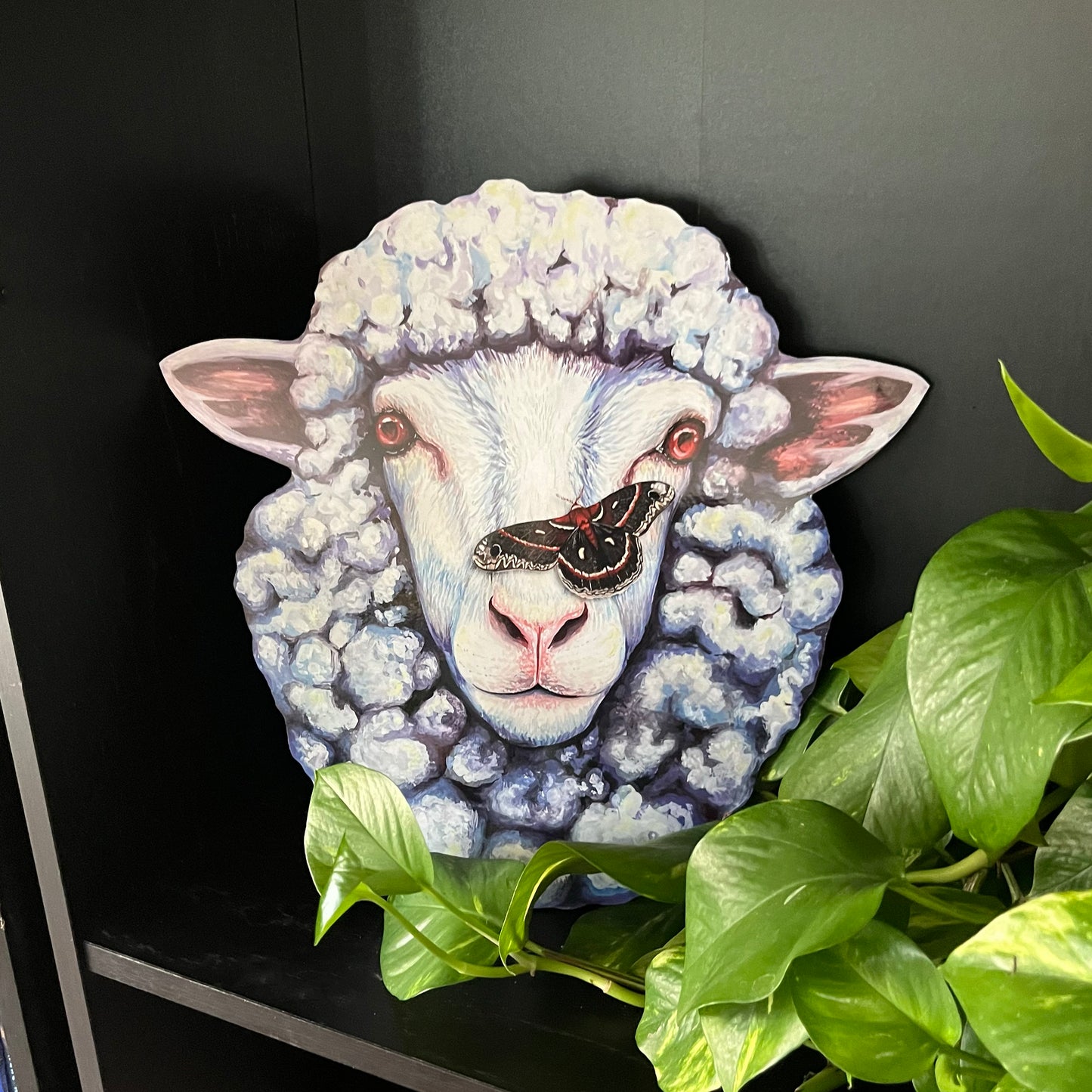 Sheep's Head Print