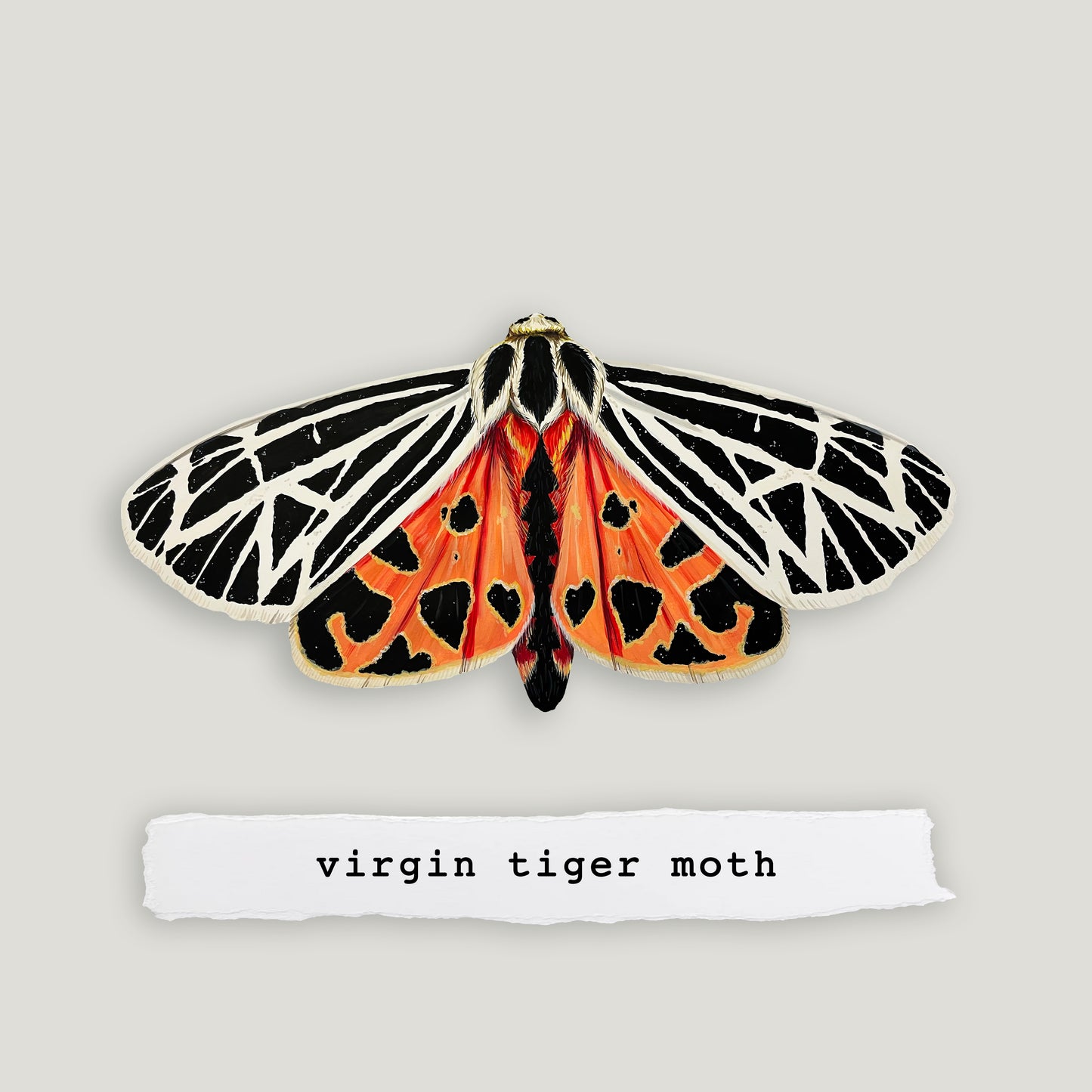 Virgin Tiger Moth Wood Cutout Print