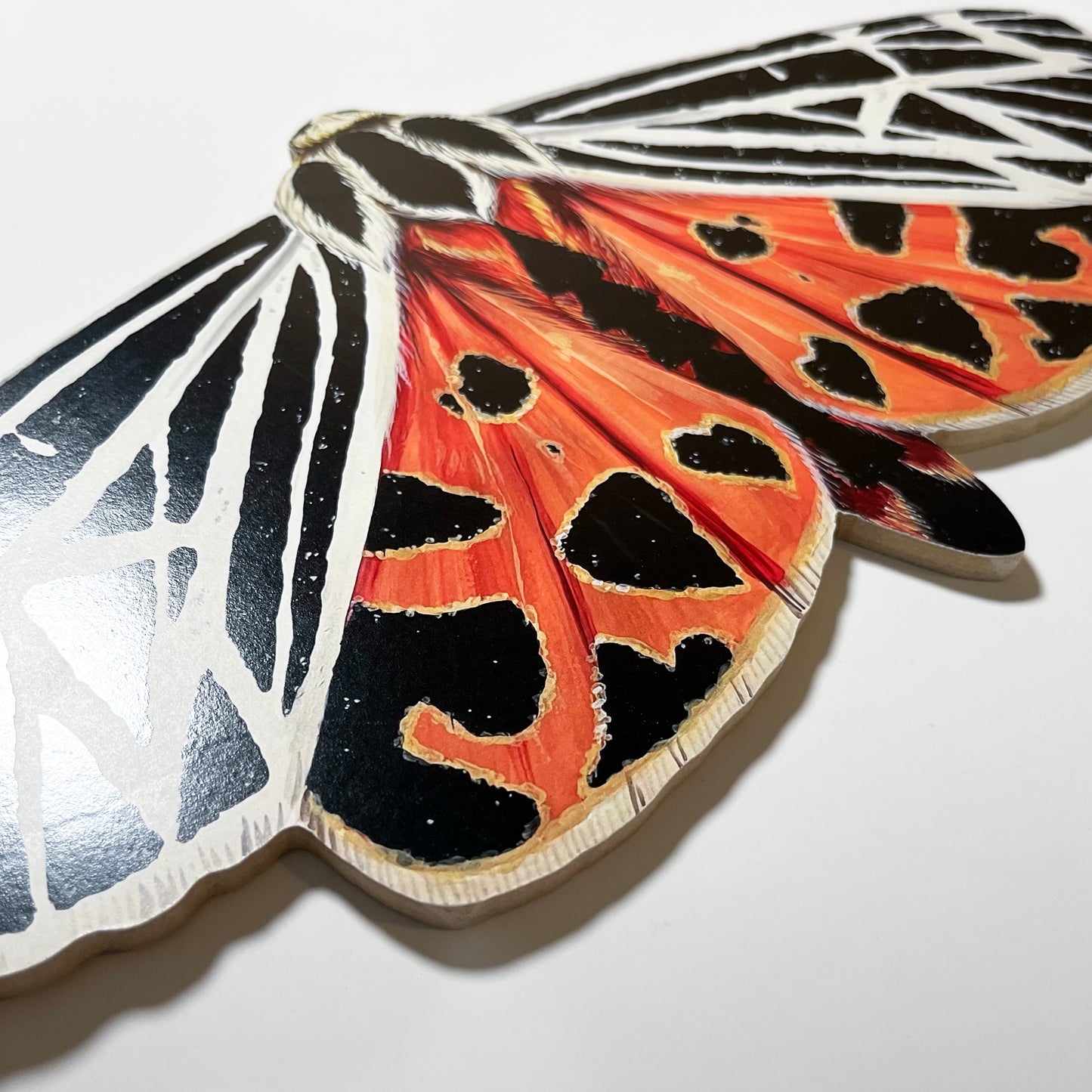 Virgin Tiger Moth Wood Cutout Print