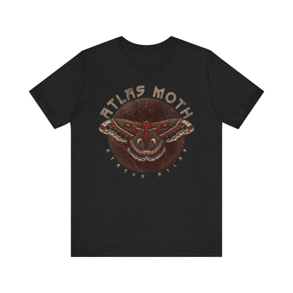 Atlas Moth Band Tee