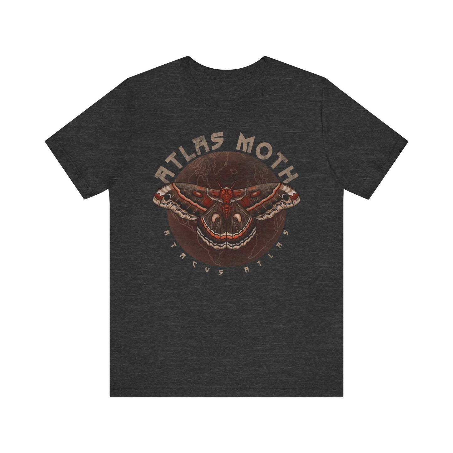 Atlas Moth Band Tee