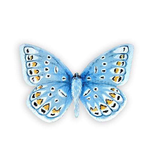 Hand-Painted Polyommatus Butterfly Wood Cutout