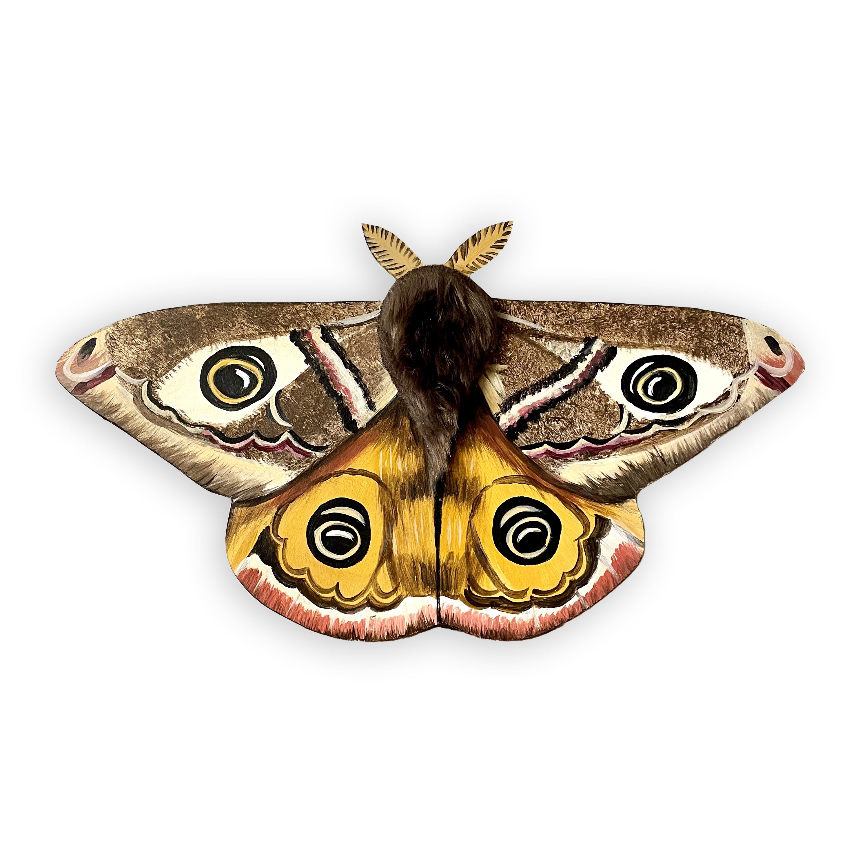 Hand-Painted Emperor Moth with Faux Fur Body – ystreetstudio