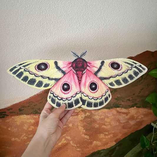 Injured Emperor Moth Wood Cutout Print