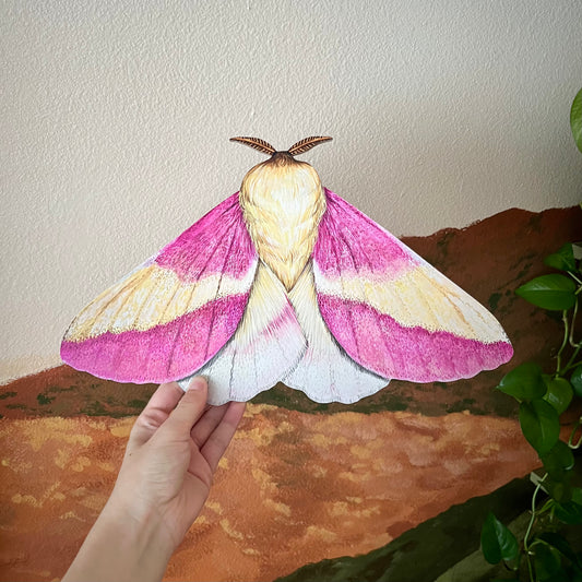 Rosy Maple Moth Wood Cutout Print