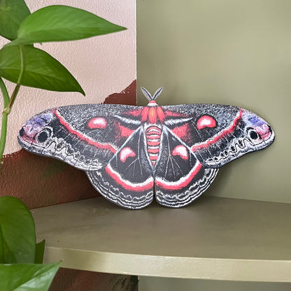Cecropia Moth Wood Cutout Print