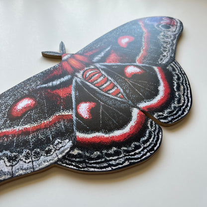 Cecropia Moth Wood Cutout Print
