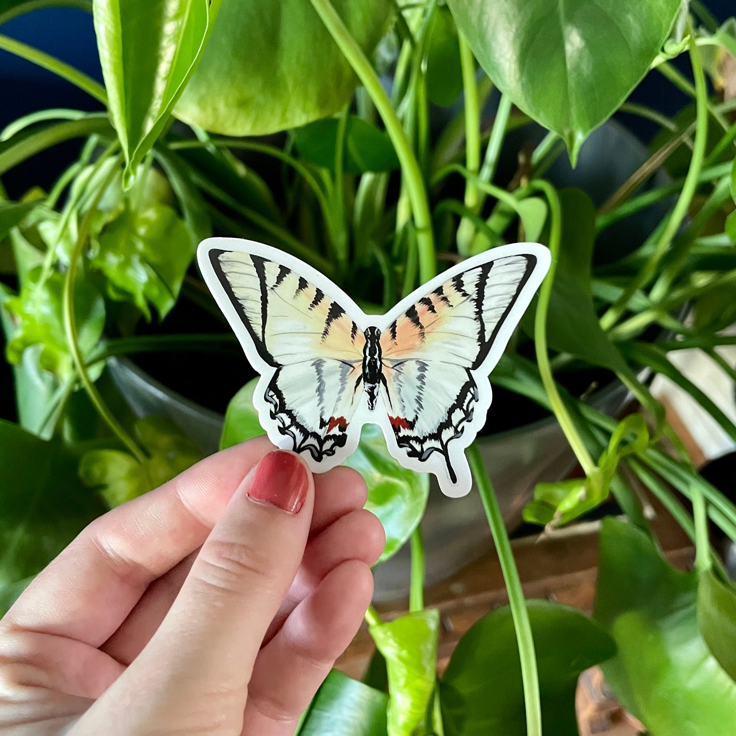 Zebra Swallowtail Sticker