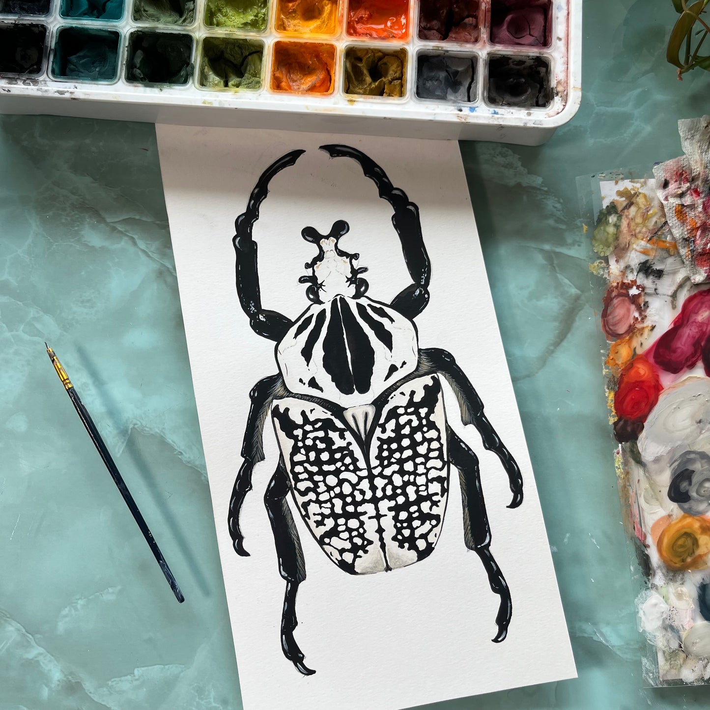 Goliath Beetle Wood Cutout Print