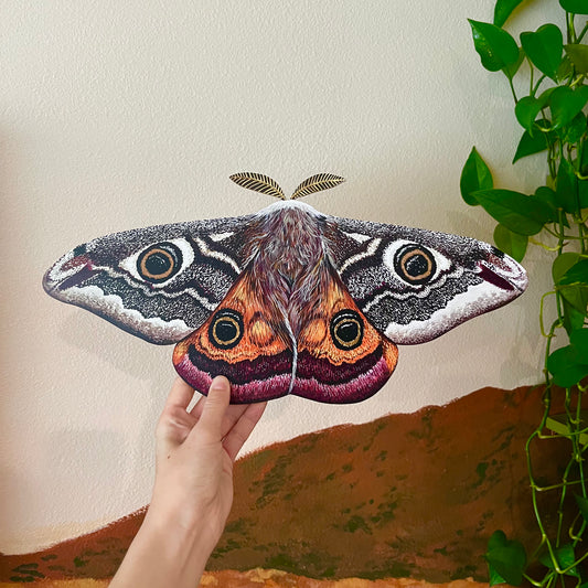 Emperor Moth Wood Cutout Print