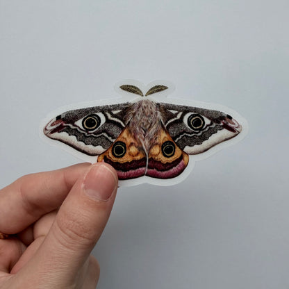 Clear Background Butterfly & Moth Sticker Pack #2