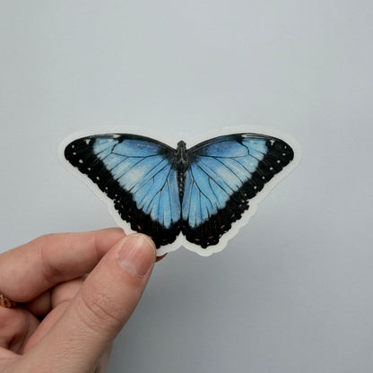 Clear Background Butterfly & Moth Sticker Pack #2