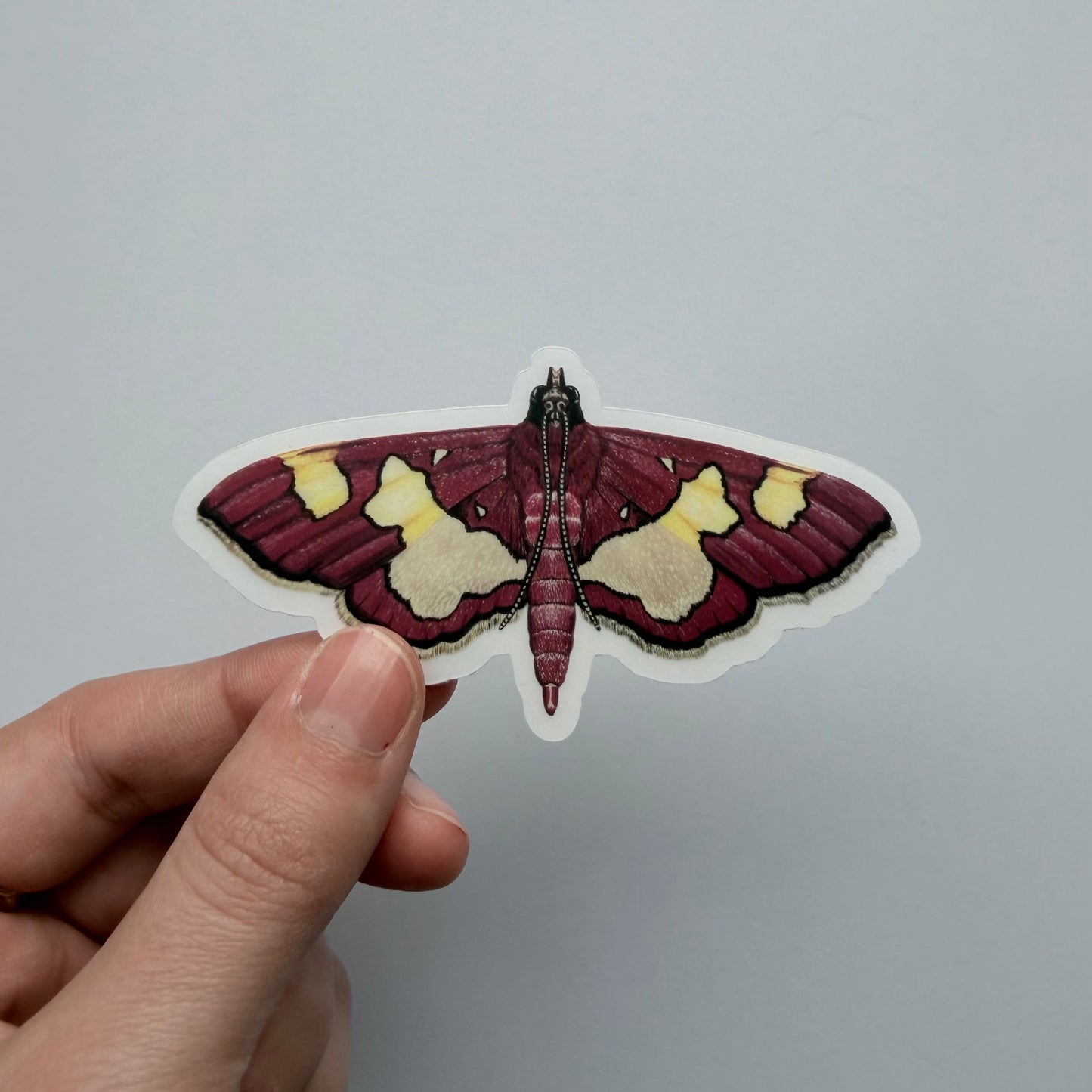 Clear Background Butterfly & Moth Sticker Pack #2