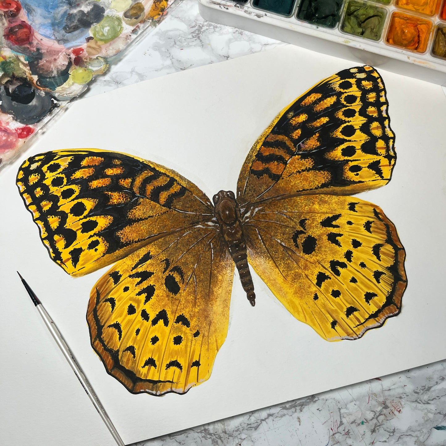 Great Spangled Butterfly Wood Cutout Print